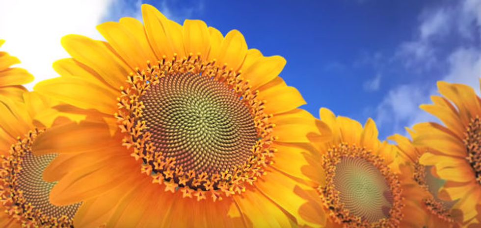 This Brilliant Video Will Make You Appreciate The Miracle of Existence