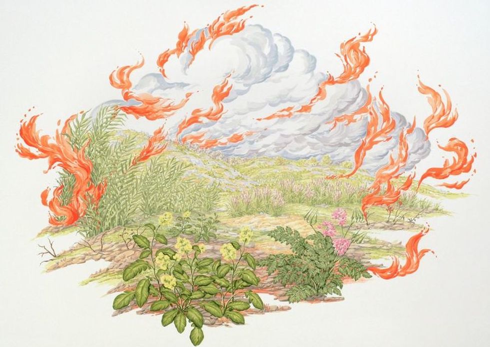 Art for a Changing Earth