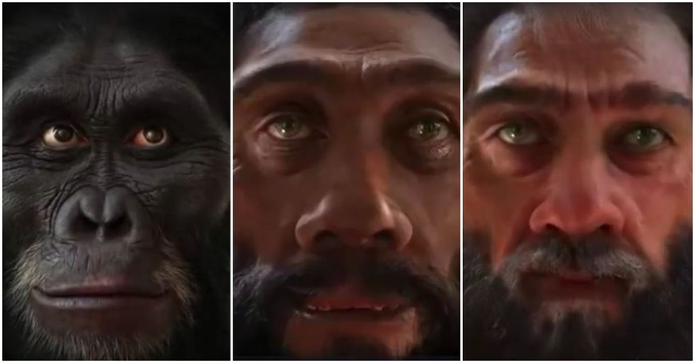 New Video Shows ‘The Evolution of Man’s Face Over Six Million Years’