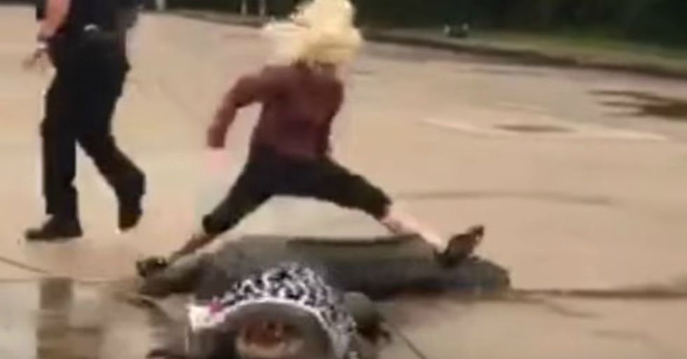 Woman Fights Off 800-Pound Alligator In Mall Parking Lot