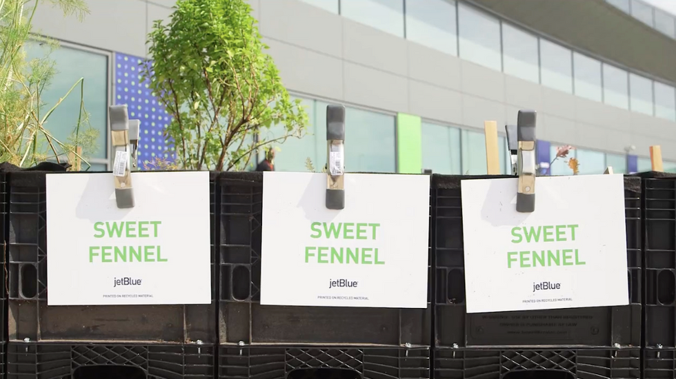 One of the World’s Busiest Airports Now Has Its Own Farm