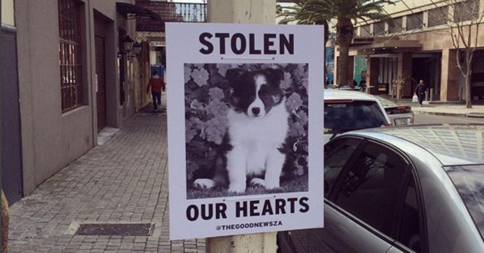 South African Artist Spreads Good News by Posting Funny Street Signs