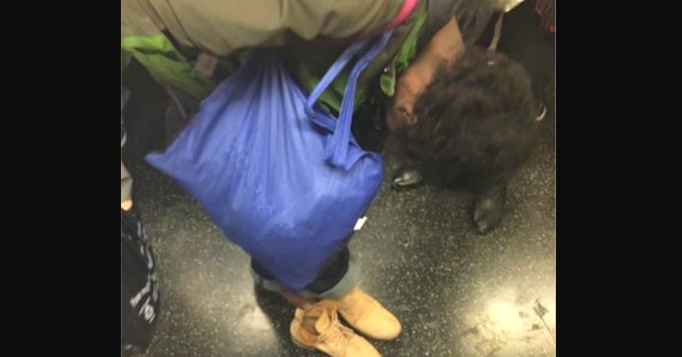 Act of Giving on the New York Subway Kicked Off a Chain of Kindness