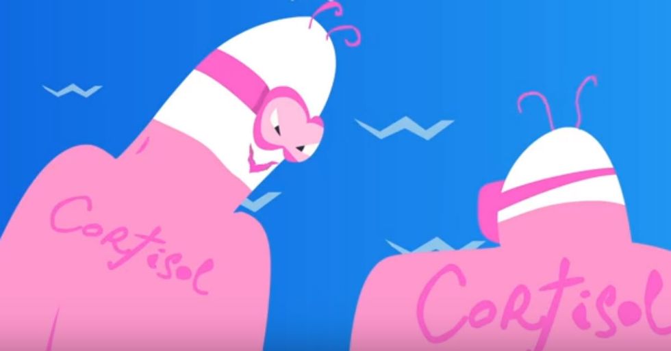 Animated Video Illustrates How Stress Affects Your Organs
