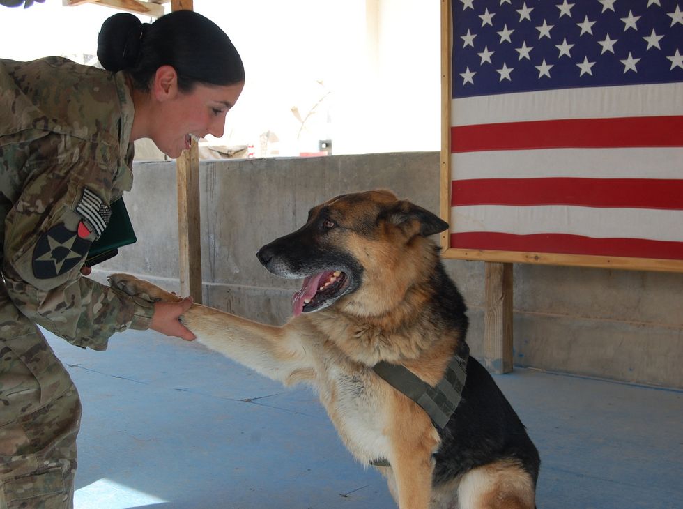 President Obama Signs Law Making It Easier for Military Dogs Overseas to Retire With Their Handlers Back Home