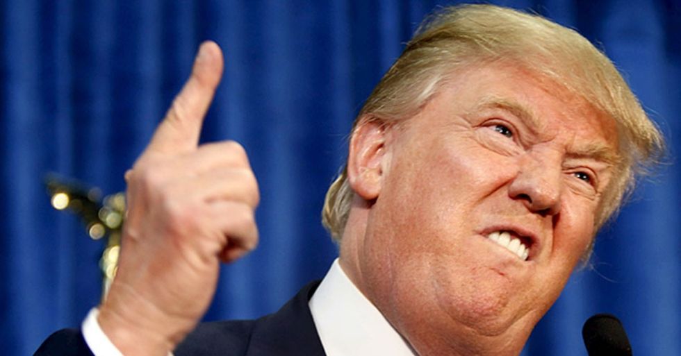After Trump Mocked a Reporter, These Disabled People Are Fighting Back Through Humor
