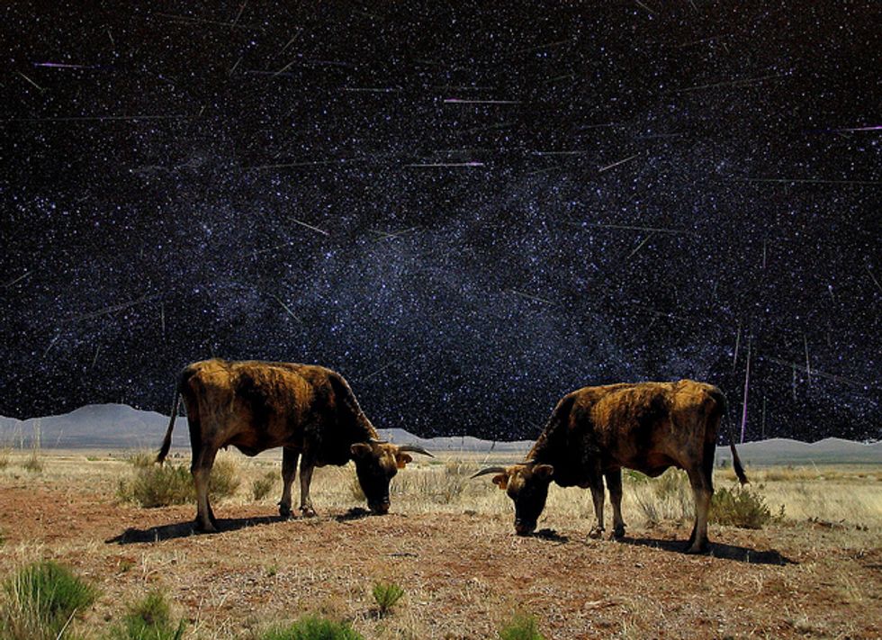 The Secret to a Good Night’s Sleep May Be ‘Night Milk’