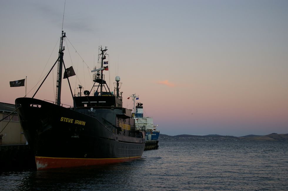 Meet the Ship Set to Disrupt Whaling in the Antarctic Ocean