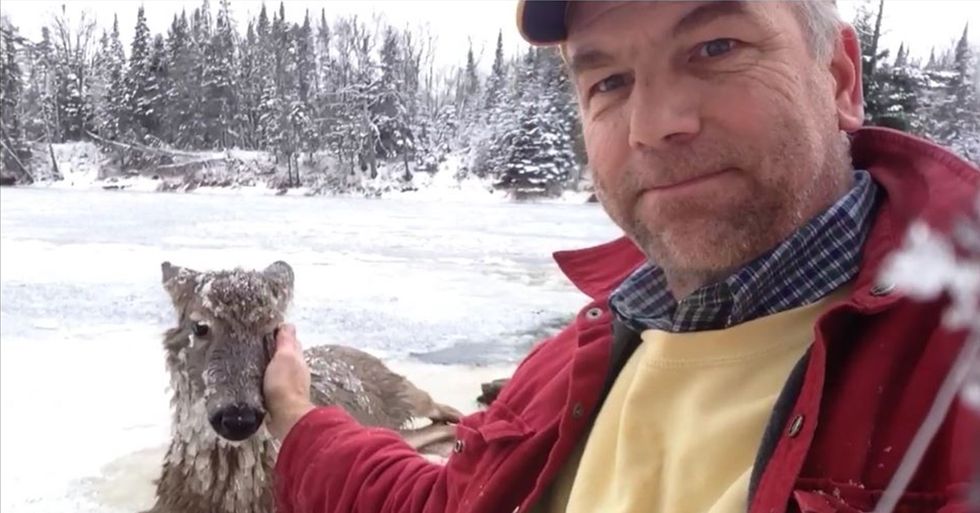 Brave Man Shares How He Saved a Deer’s Life in Sign Language