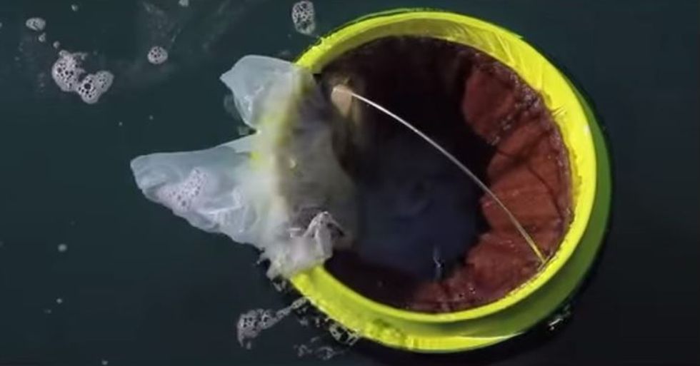 Australian Entrepreneurs Have Created a Simple Method for Cleaner Marinas