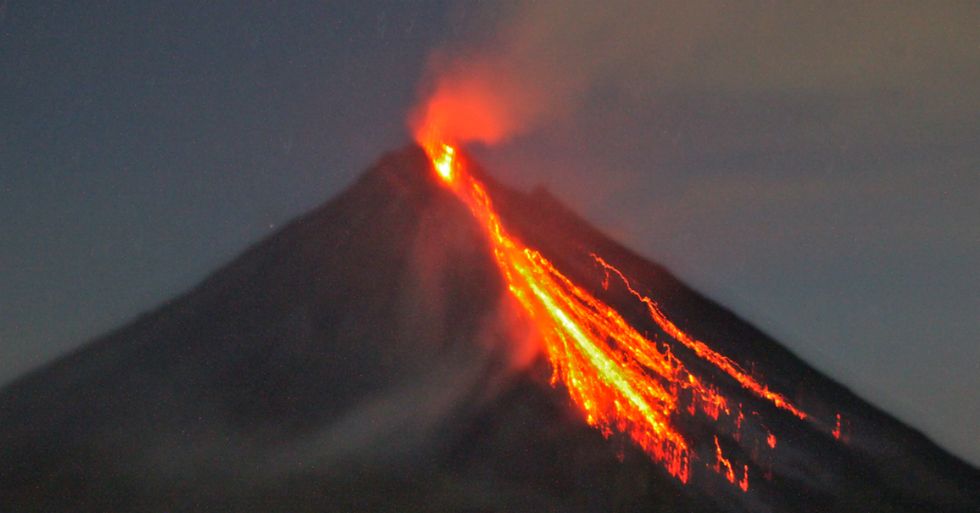 Scientists Have Discovered Hammerhead Sharks Living in a Volcano