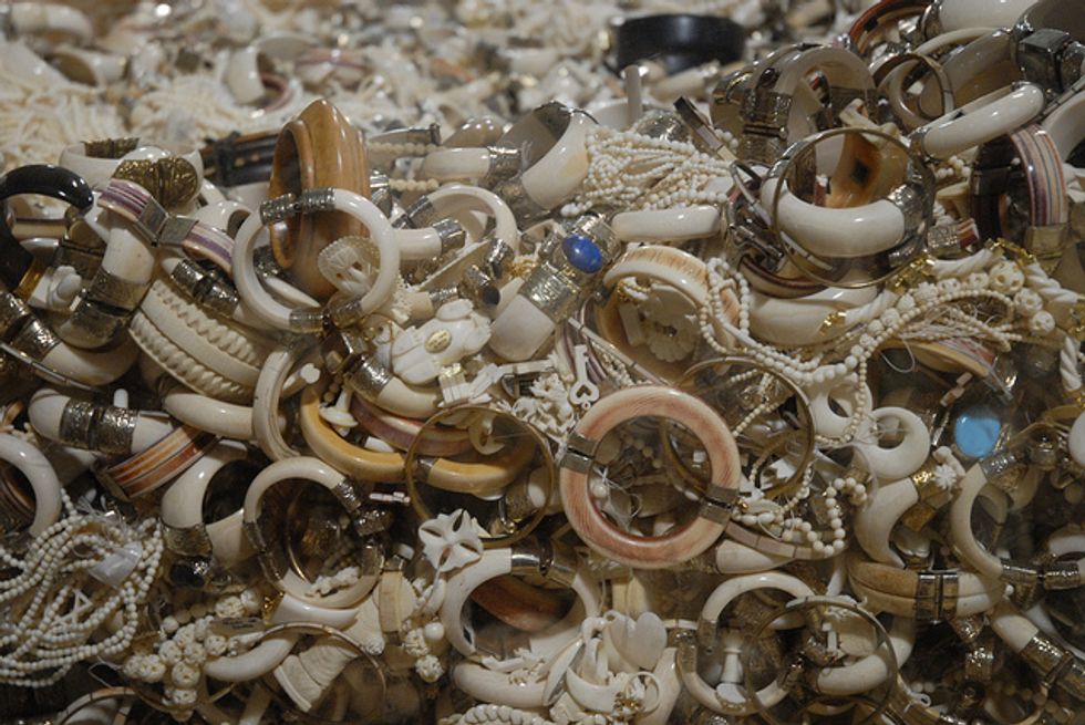 Great News for Elephants: Hong Kong Is Shutting Down Its Ivory Trade