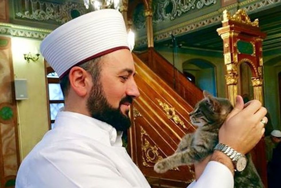 This Winter, an Imam Is Offering Shelter to Stray Cats in Istanbul