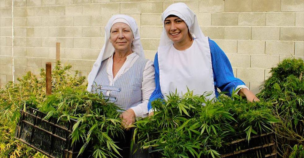 Marijuana-Growing Nuns Are Protesting a City Ban on Cannabis