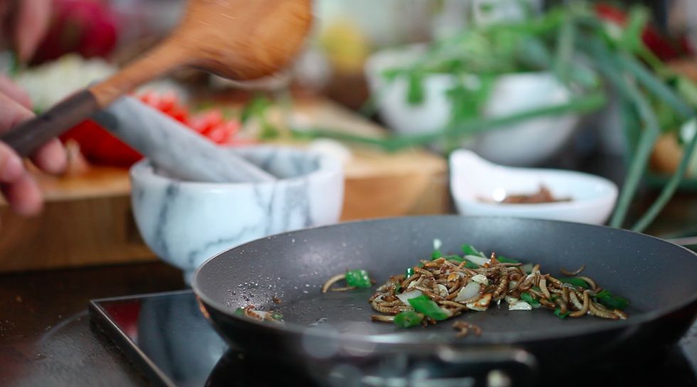 Raise Edible Insects at Home With the Livin Farms Desktop Hive