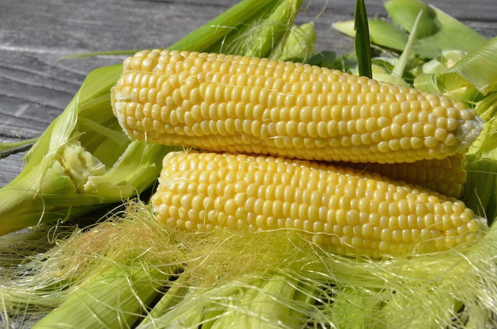 why-china-steals-our-corn-good