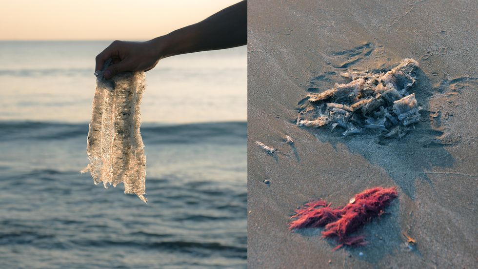 New SeaweedBased Material Could Replace Plastic Packaging GOOD