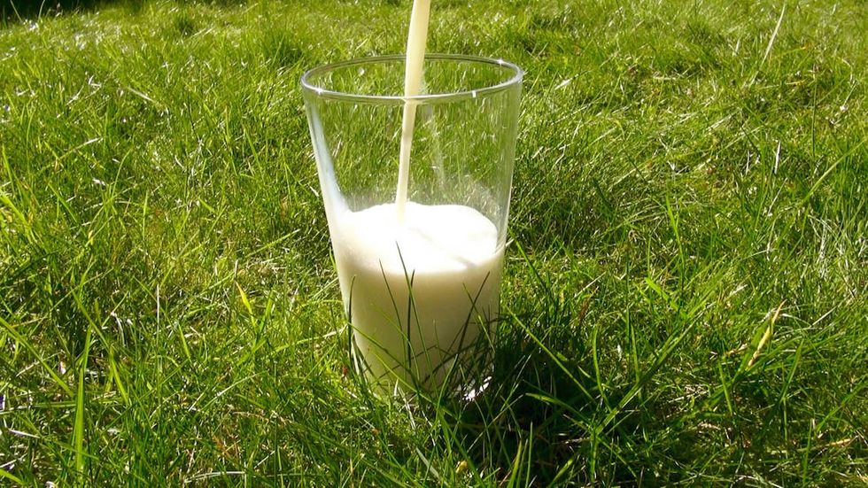 Sick West Virginia Lawmakers Reignite Raw Milk Debate