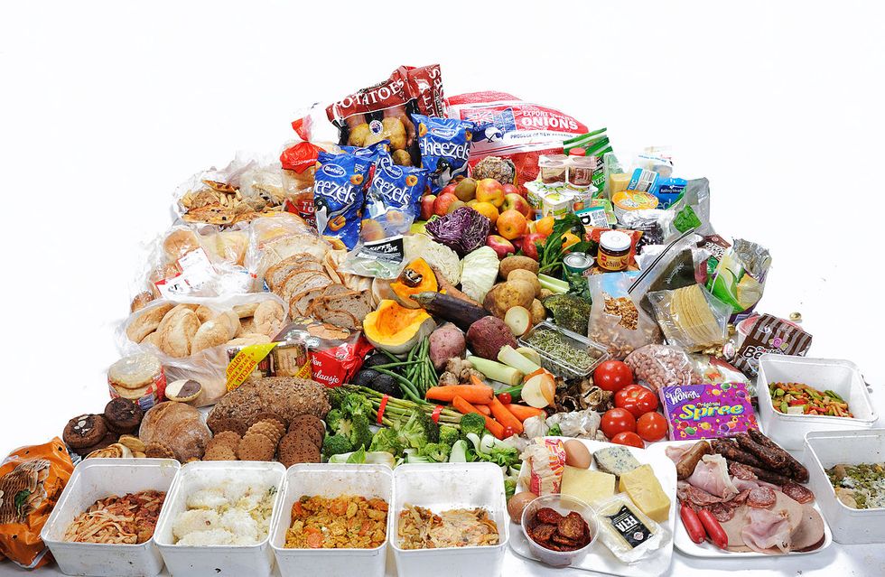 Supermarket Food Waste Programs Are Just the Beginning—Real Change Starts With You