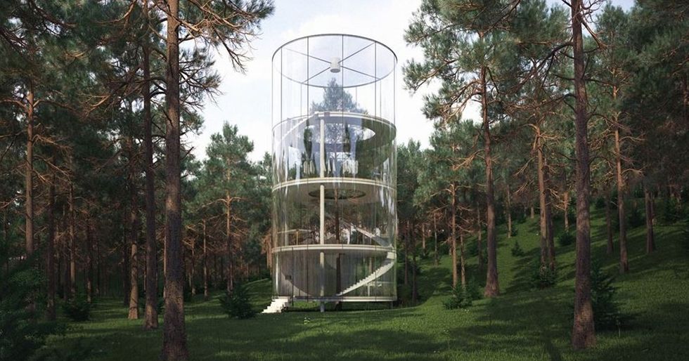 This Tubular Glass House Is Built Around a Tree