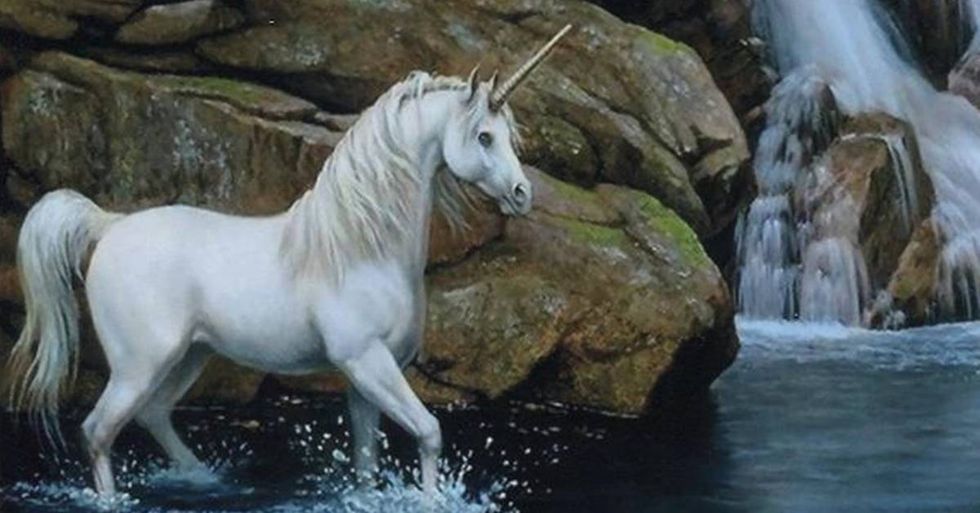 Scientists Have Discovered a ‘Unicorn’ Skull in Siberia