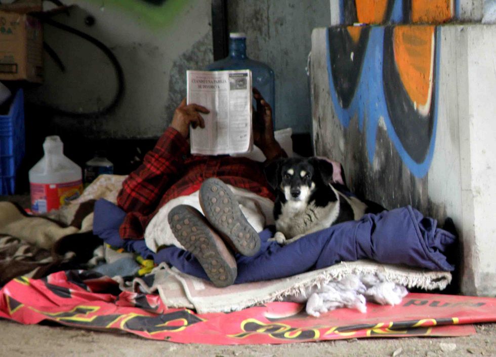 Why the Homeless Need Their Pets