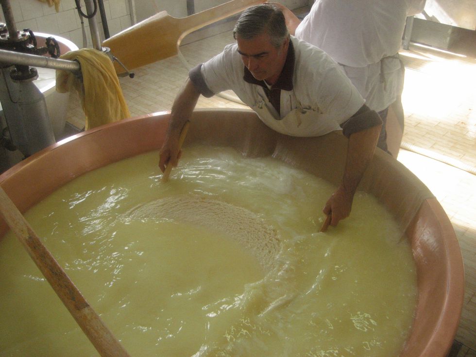 We Have Hit Peak France – Cheesemakers Are Using Production Waste To Make Electricity