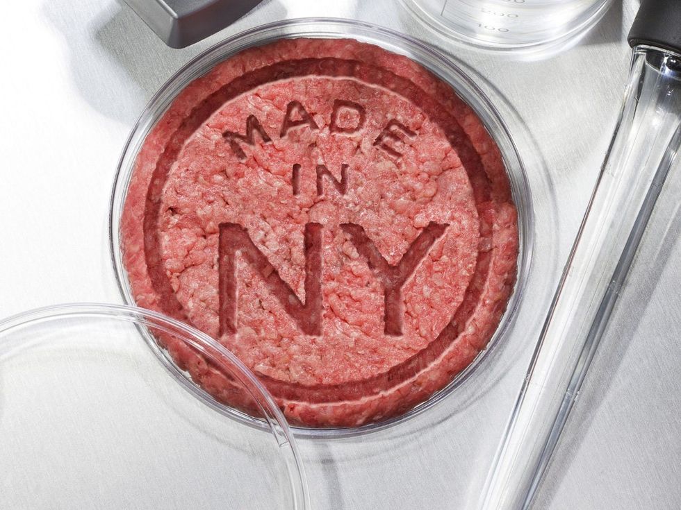 Science Labs Are The Next New Hot Fashion Houses