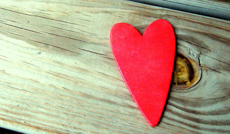 An Unexpected Solution To Our Organ Donor Crisis
