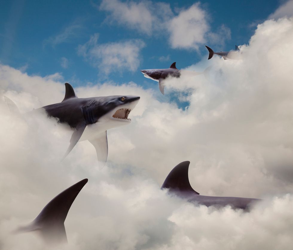 These Researchers Say It Only Takes One Crucial Step To Save Our Oceans