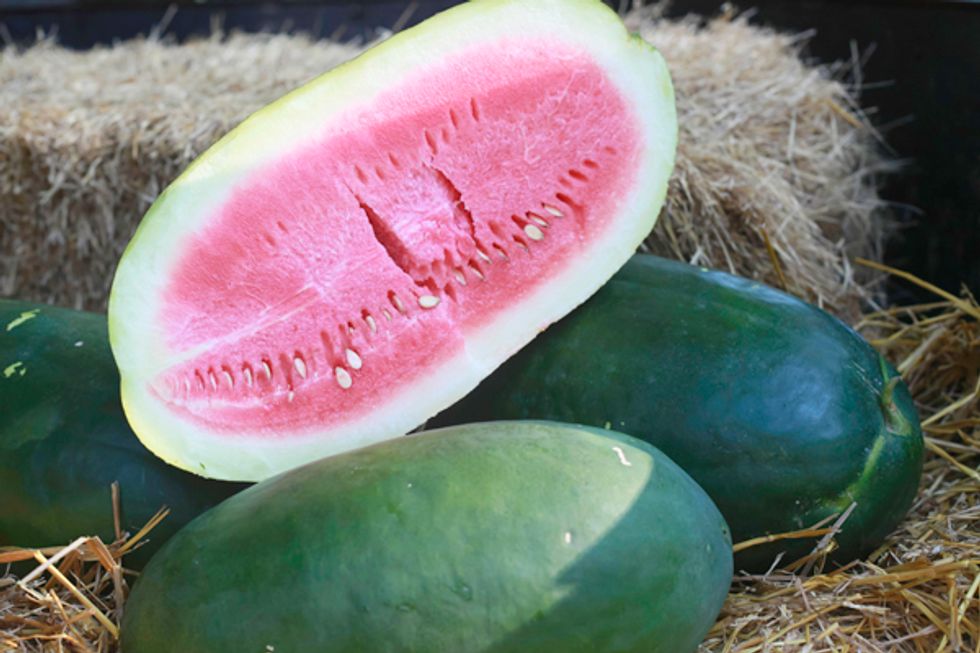 This Watermelon Is So Good, Farmers Used To Guard It With Guns
