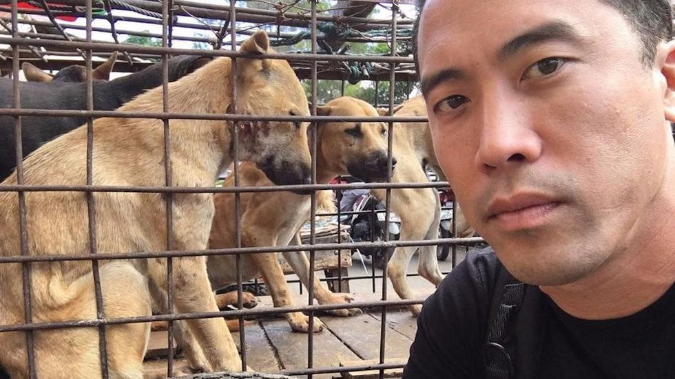 Man Rescues 1,000 Dogs From China’s Dog Meat Festival