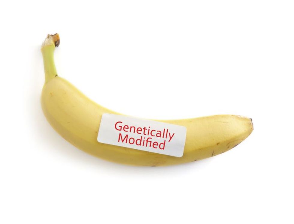 Mandatory GMO Labels Hit Vermont Shelves