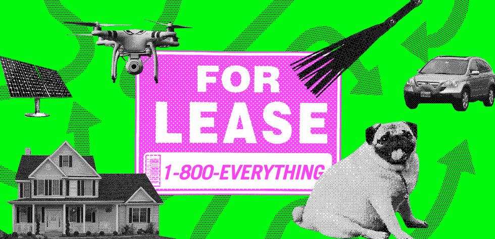 From Dogs to Sex Dungeons, Here Are 4 Unexpected Things You Can Rent (Not Own)