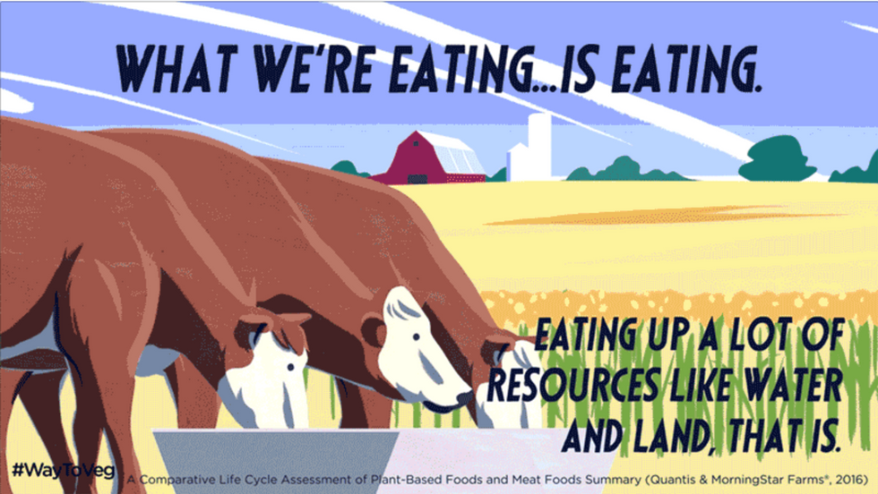What Does It Take to Make the Meat the U.S. Eats?