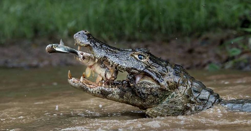 Winners Announced In The National Geographic Travel Photographer of the Year Contest