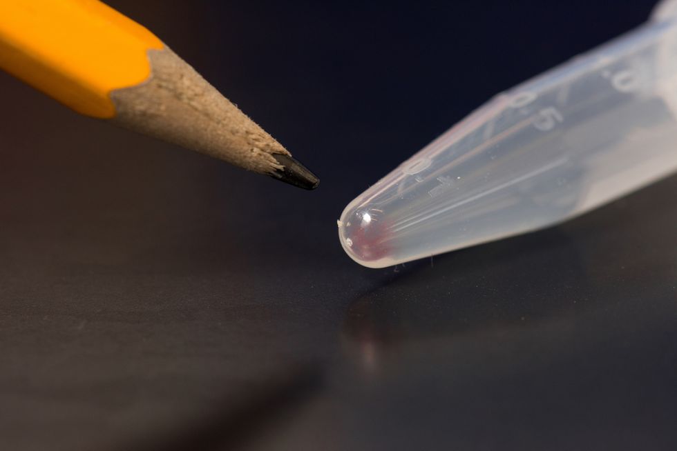 The Thumb Drive Of The Future Is Made Of DNA