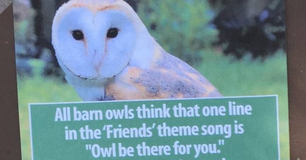 Prankster Obvious Plant Takes Over the L.A. Zoo