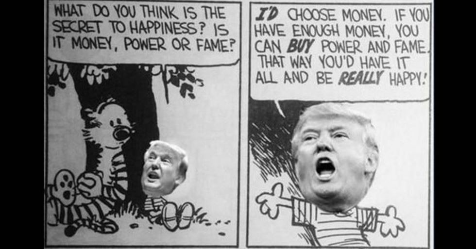 The Adventures of ‘Donald and Hobbes’