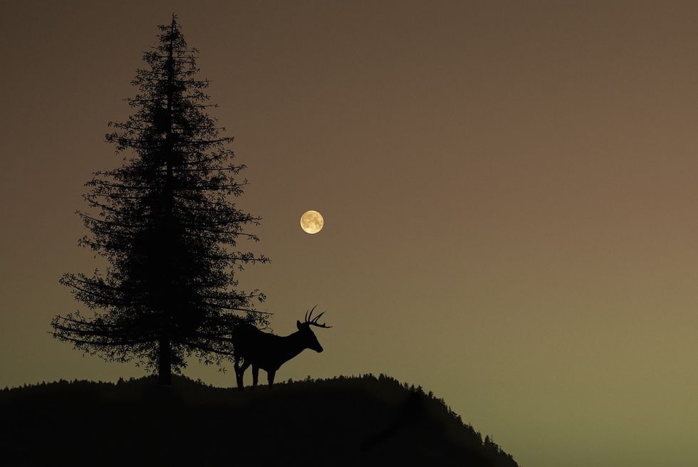 Here’s Everything You Need To Know About Tonight’s “Buck Moon”