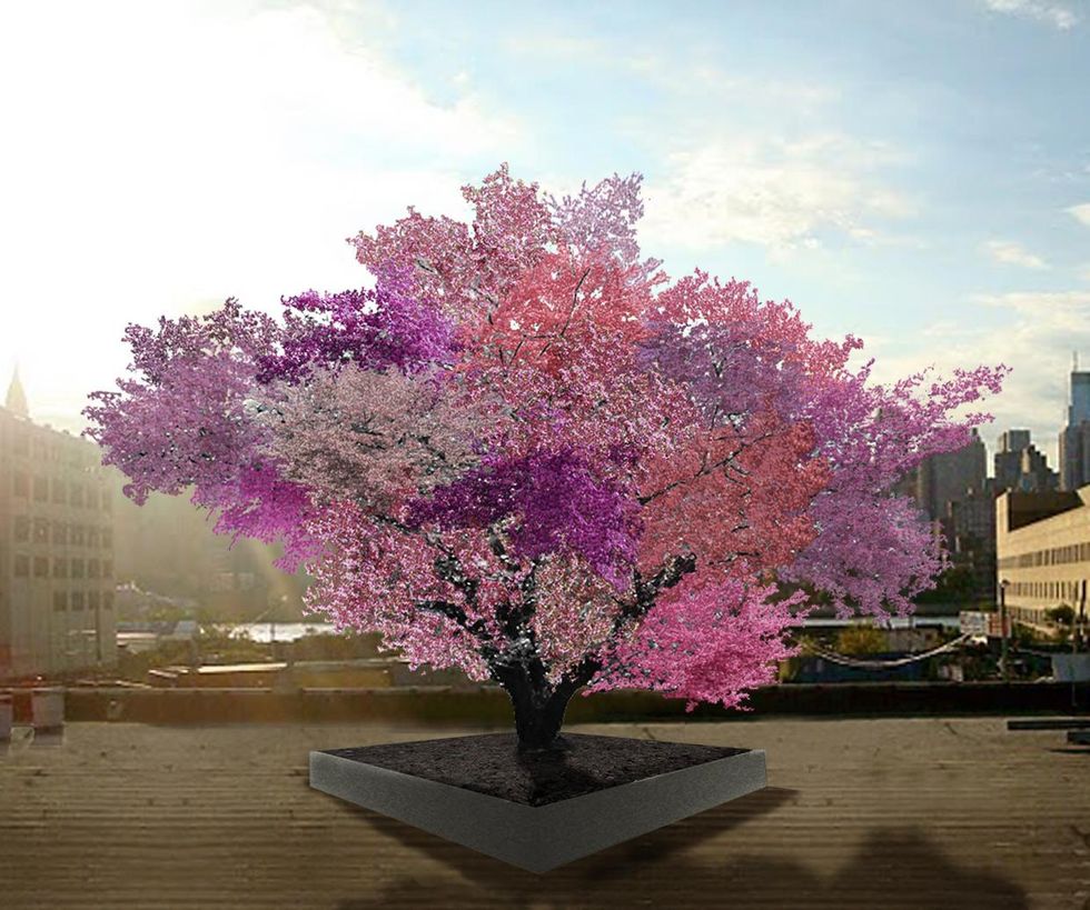 Why This Apple Breeder Wants You To Grow a “Frankentree”