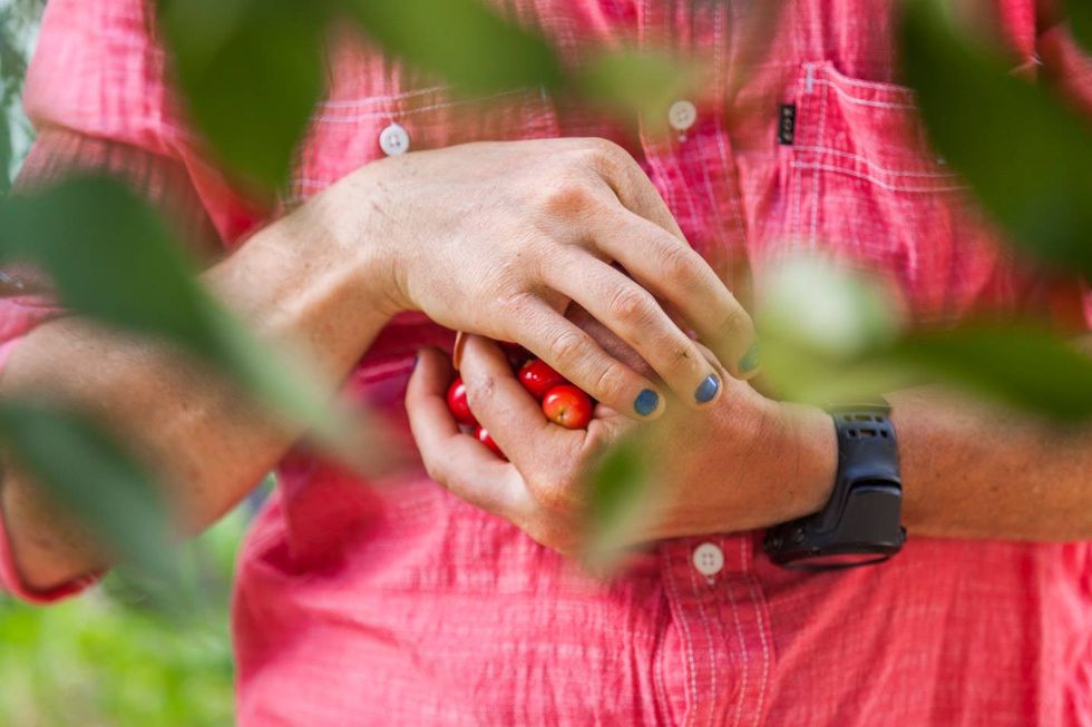 Instead of Pokémon, Try Using Your Smartphone To Catch Tasty Wild Edibles