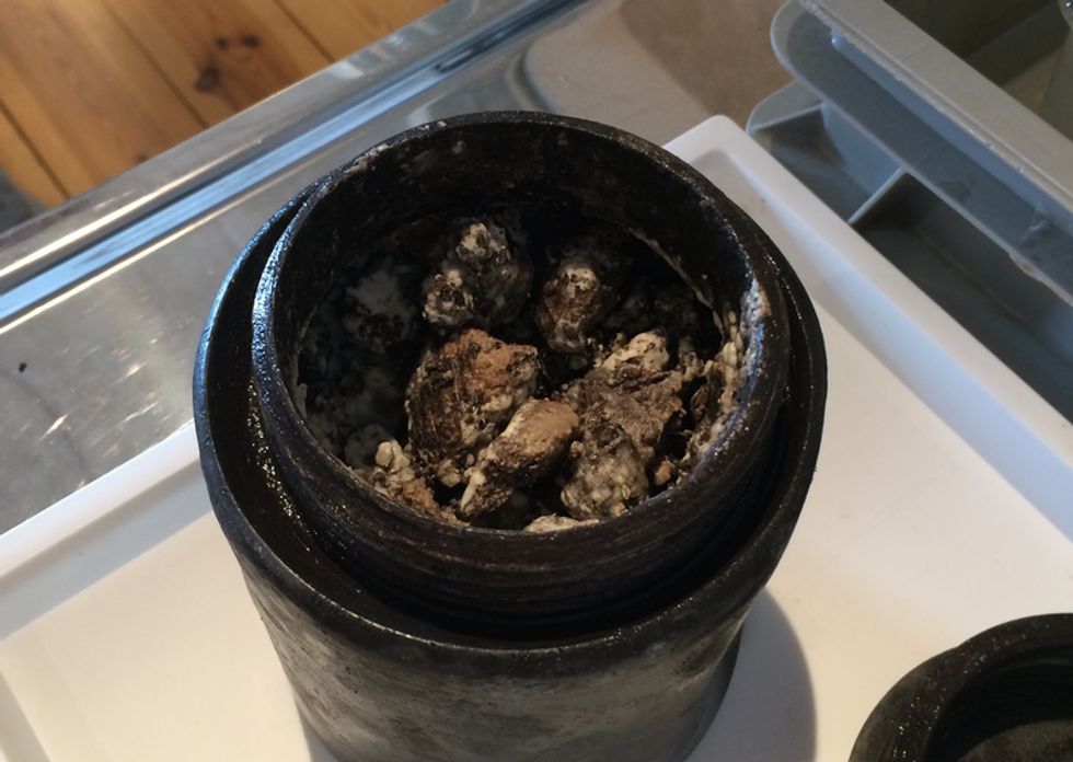 Divers Find 340-Year-Old Cheese At The Bottom Of The Ocean