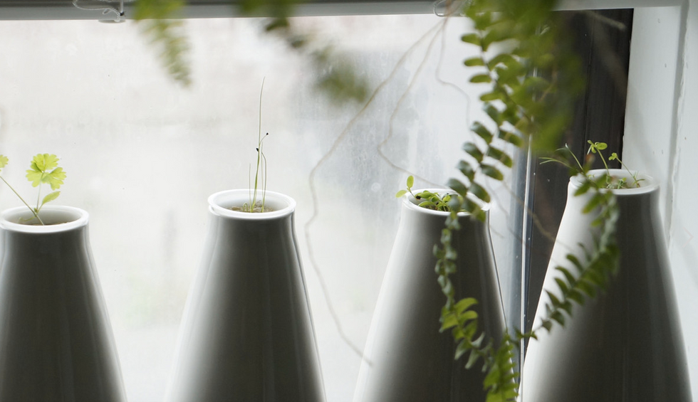 Now You Can Grow Your Food In The Cloud
