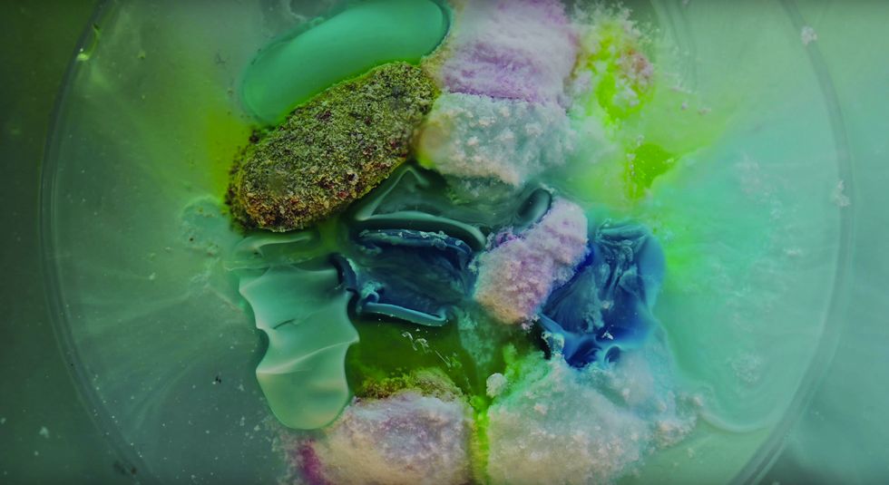 Pills Dissolving In Water Reveal What Actually Goes On In Your Body