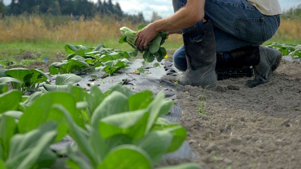 How To Save The World? The Answer Is In The Soil