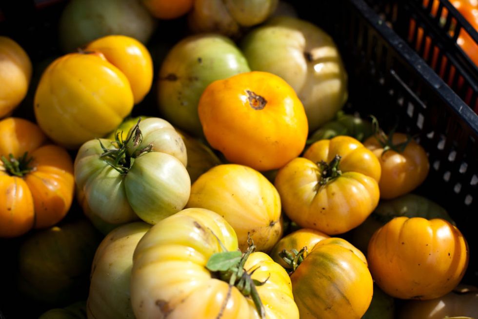 The 11 Best Farmers Markets In The World