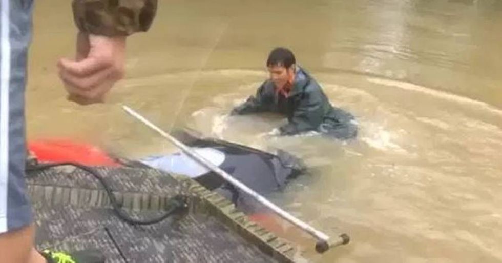 Good Samaritans Save A Woman And Her Dog During Louisiana Flood