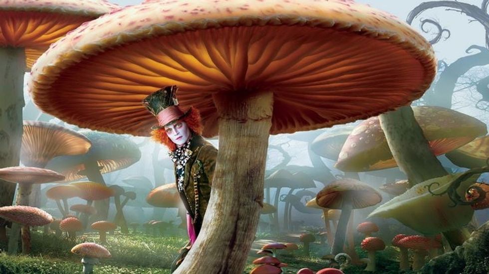 Can I Eat That?: The Pleasures And Perils Of Mushroom Foraging