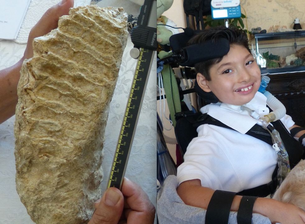 This 11-Year-Old Knows Way More About Mammoths Than You